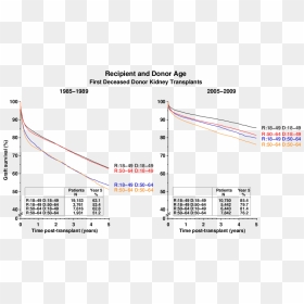 Diagram, HD Png Download - kidney png