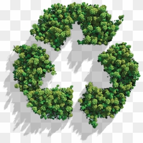 Sustainability Transparent, HD Png Download - sustainability png