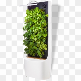 Flowerpot, HD Png Download - green wall png