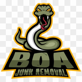 Boa - Boa Logo, HD Png Download - boa png
