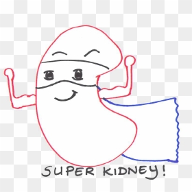 Super Kidney, HD Png Download - kidney png
