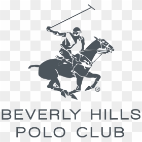 Beverly Hills Polo Club Logo Vector , Png Download - Beverly Hills Polo Club Logo Png, Transparent Png - polo logo png