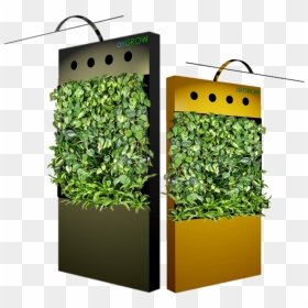 Transparent Green Wall Png, Png Download - green wall png