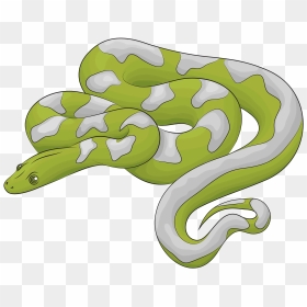 Snake Clipart, HD Png Download - boa png