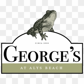 Georges - Illustration, HD Png Download - spell png