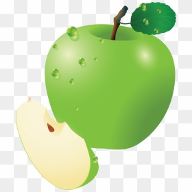 Green Apple Vector Png - Green Apple Slices Clipart, Transparent Png - apple slice png
