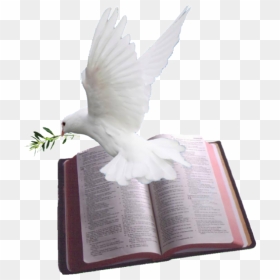 Bible And Dove Png, Transparent Png - espiritu santo png