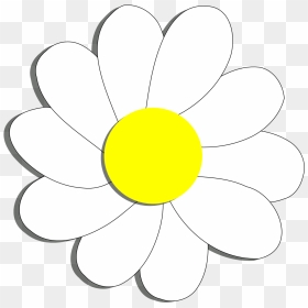 Cartoon Daisy - Clipart Best - Clip Art, HD Png Download - white daisy png