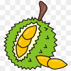 10 Durian Fruit Royalty Free Clipart - Durian Clipart Png, Transparent Png - royalty png