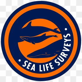 Sea Life Surveys Logo Png Transparent - Slipmat Denon 3500, Png Download - steven universe logo png