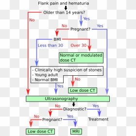 Algorithm For Kidney Stone Disease - Kidney Stone Algorithm, HD Png Download - kidney png