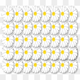 Transparent White Petals Png, Png Download - white daisy png