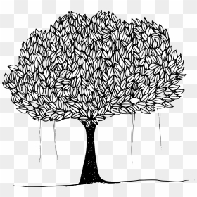 Peepal Tree Drawing Easy, HD Png Download - canopy png