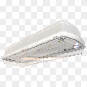 Light, HD Png Download - viper png