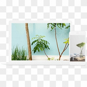 Tropical Jungle Color Palette, HD Png Download - cogwheel png