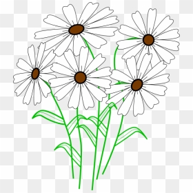 White Daisy Bunch Clip Art At Clker - Transparent Daisy Outline, HD Png Download - white daisy png