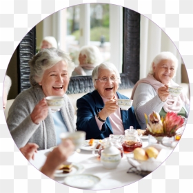 Senior Circle Picservices-01, HD Png Download - senior png