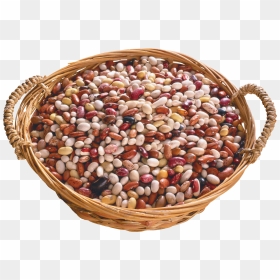 Kidney Beans Png - Pineapple, Transparent Png - kidney png