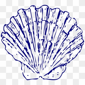 Blue Seashell Clipart Graphic Freeuse Library Blue - Clip Art Blue Seashell, HD Png Download - seashell clipart png
