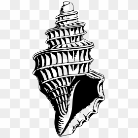 Clipart Seas Shell Png Seashell Clipart Pdf - Seashell Logo Black And White Drawing, Transparent Png - seashell clipart png