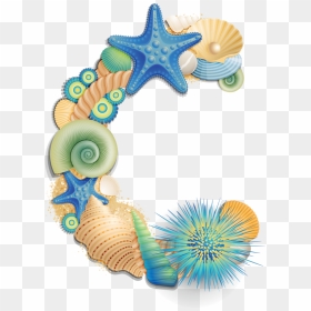 Transparent Seashell Clipart Png - Letter M Sea Shell, Png Download - seashell clipart png