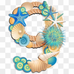 Seashells Clipart Beach Item, Seashells Beach Item - Decorative Numbers Clipart, HD Png Download - seashell clipart png