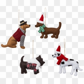 Dog Catches Something, HD Png Download - target dog png