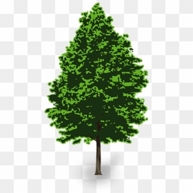 Pine Tree Png Clip Art, Picture - Vector Pine Tree Png, Transparent Png - pine tree clip art png