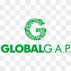 Global G - A - P - Consulting And Certification Services - Global Gap Logo Hd, HD Png Download - gap logo png