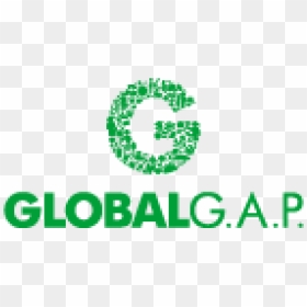 Global G - A - P - Consulting And Certification Services - Global Gap Logo Hd, HD Png Download - gap logo png