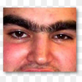 Comment Picture, HD Png Download - unibrow png