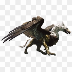Download Creature Png Clipart - Griffin Png, Transparent Png - creature png