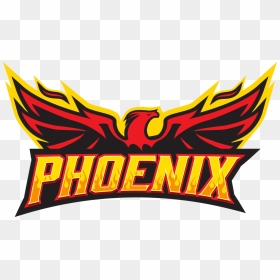 Phoenix Sports Logo , Png Download - Phoenix Team Logo Png, Transparent Png - phoenix logo png