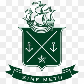 Jameson Logo Sine Metu Green2 - Sine Metu, HD Png Download - jameson png