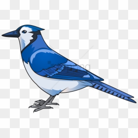 Free Png Blue Jay Transparent Png Image With Transparent - Blue Jay Bird Clipart, Png Download - blue bird png