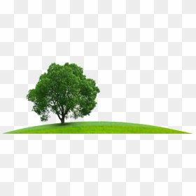 A Practical Introduction , Png Download - Tree Sustainability Png, Transparent Png - sustainability png