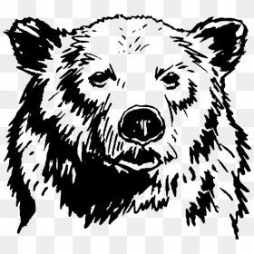 Commercebear, HD Png Download - bear logo png