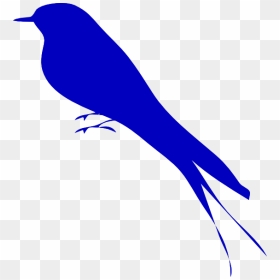 Blue Bird Png - Vector Blue Bird Clipart, Transparent Png - blue bird png