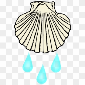 Clipart - Baptism Shell - Seashell Black And White Clipart, HD Png Download - seashell clipart png