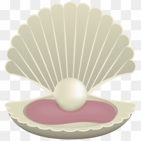 Pearl Great Shell Cartoon Drawing Free Transparent - Pearl Cartoon, HD Png Download - seashell clipart png