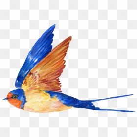 This Graphics Is Hand Painted A Free Flying Bird Png - Bird Painted Transparent Background, Png Download - blue bird png