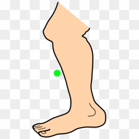 Leg Png Clipart Animated , Png Download - Stomp Clip Art, Transparent Png - cartoon legs png