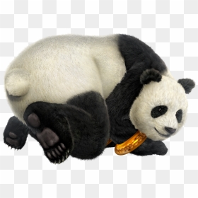 Panda Head Png Download - Tekken Panda Png, Transparent Png - panda head png