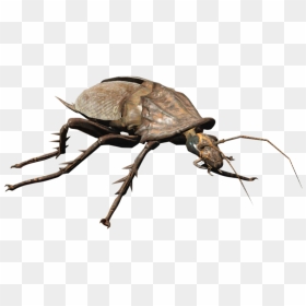 Nukapedia The Vault - Fallout 4 Cockroach, HD Png Download - roach png