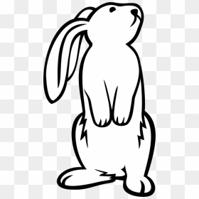 Rabbit Looking Up Drawing, HD Png Download - cartoon legs png