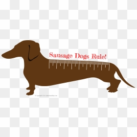 Dachshund Clipart Sausage Dog - Sausage Dog7, HD Png Download - target dog png