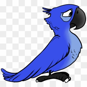 Rio Clipart Rio Bird - Angry Birds Rio Blue, HD Png Download - blue bird png