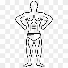 Muscular Bodybuilder Outline - Muscular Legs Drawing Cartoon, HD Png Download - cartoon legs png