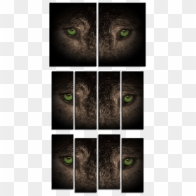 Black Cat, HD Png Download - wolf eyes png