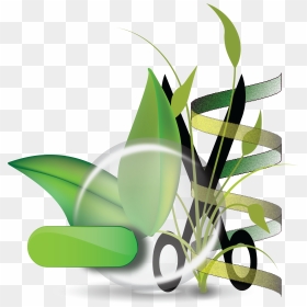 The Moschou Lab - Plant Lab, HD Png Download - formas png